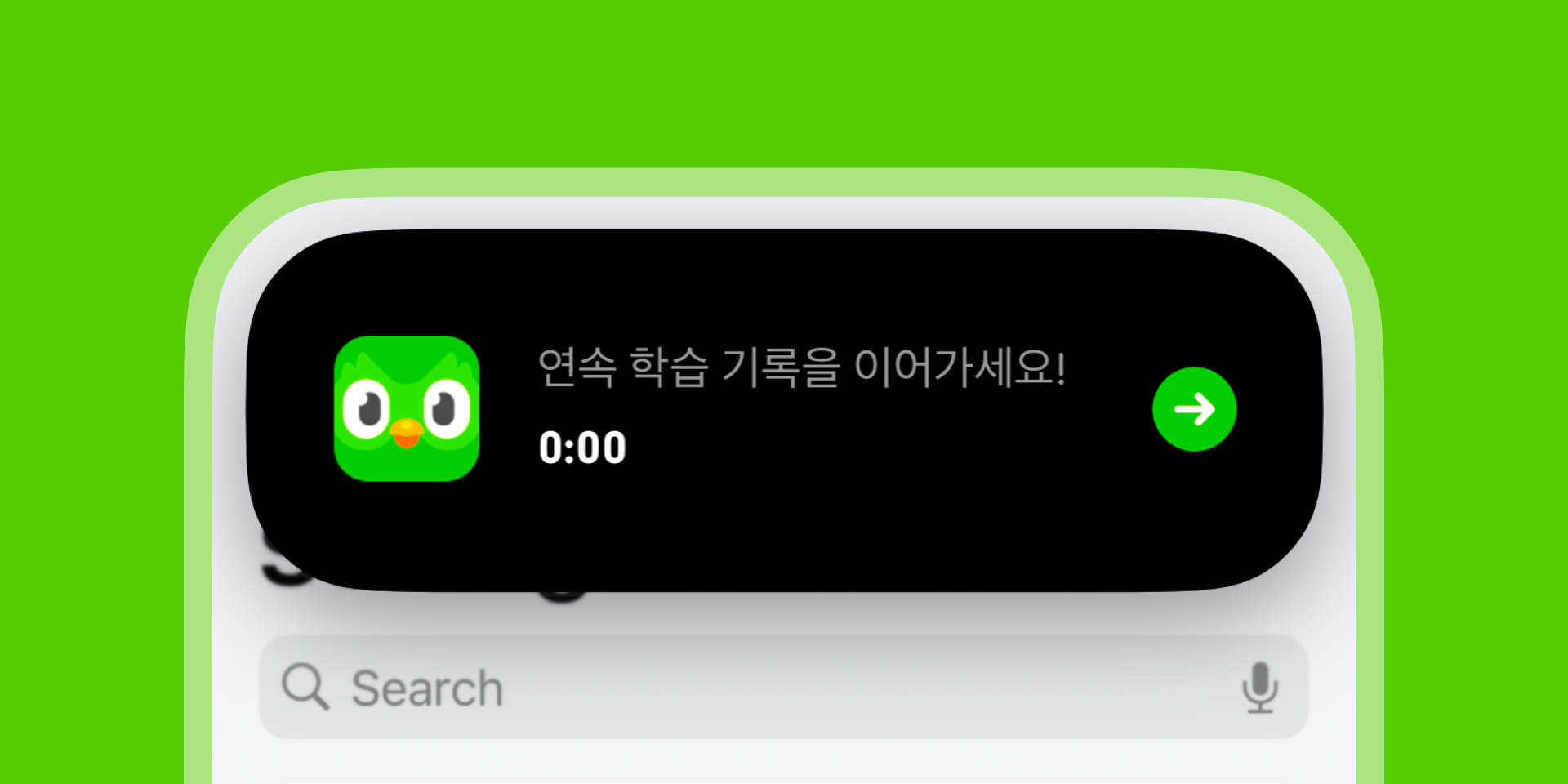 이미지 설명