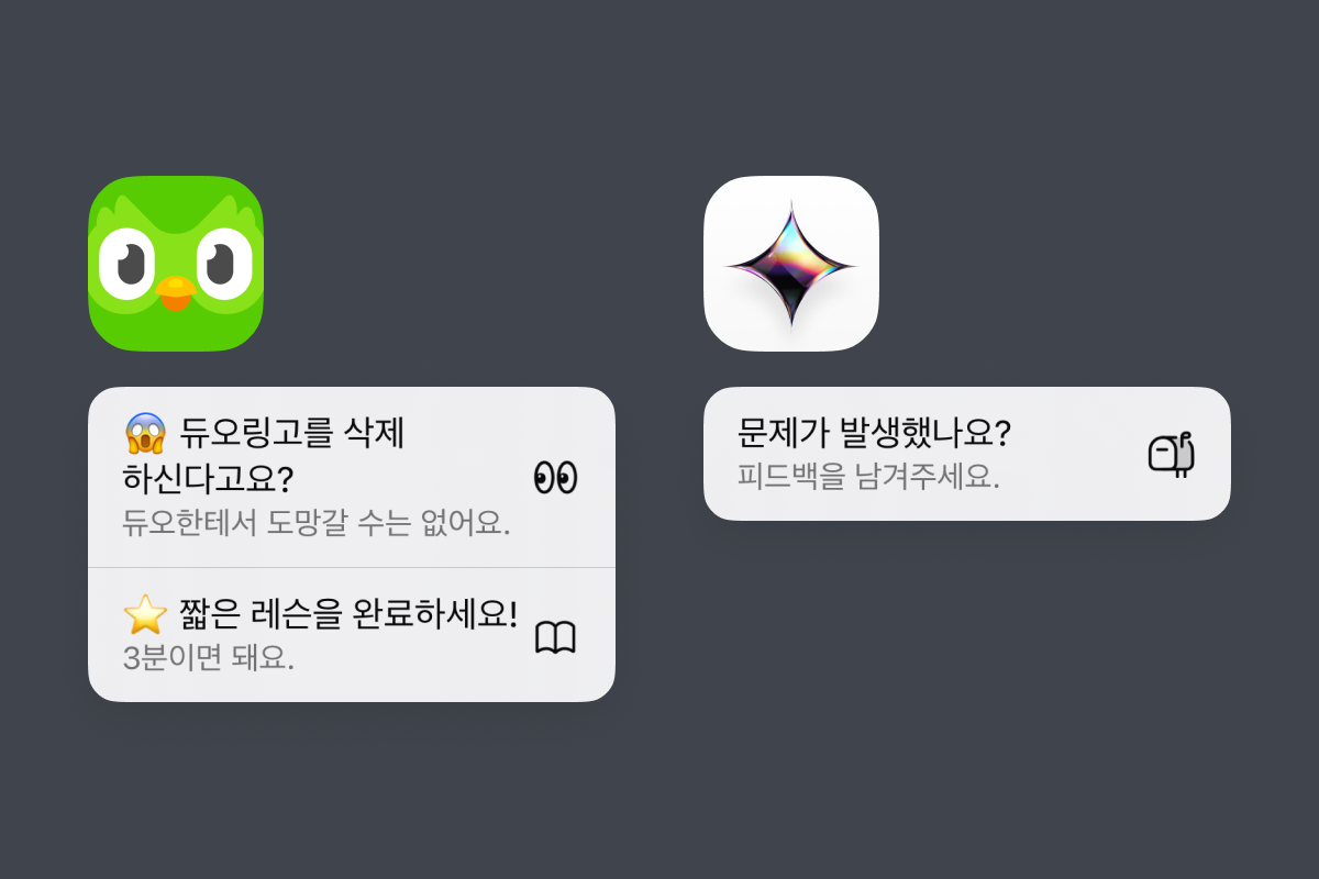이미지 설명