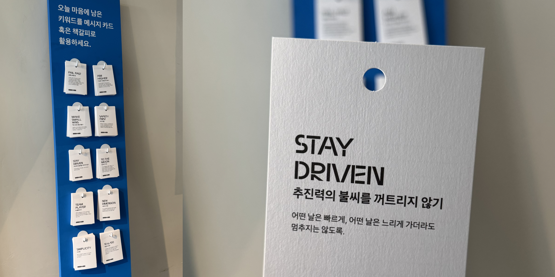 이미지 설명